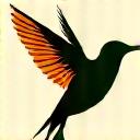 望遠レンズで捉えられた、飛び立つオオハシの躍動感あるショット。高いシャッタースピードが感じられる。